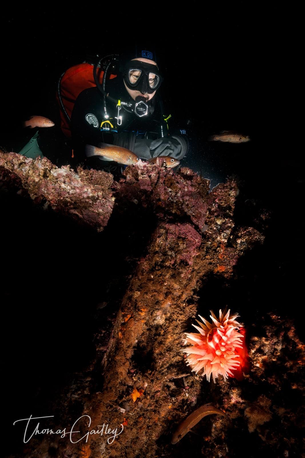 Edwin Yoo, photographed by Thomas Gaitley
